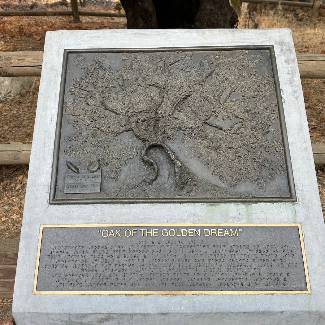 The Oak of the Golden Dream 3