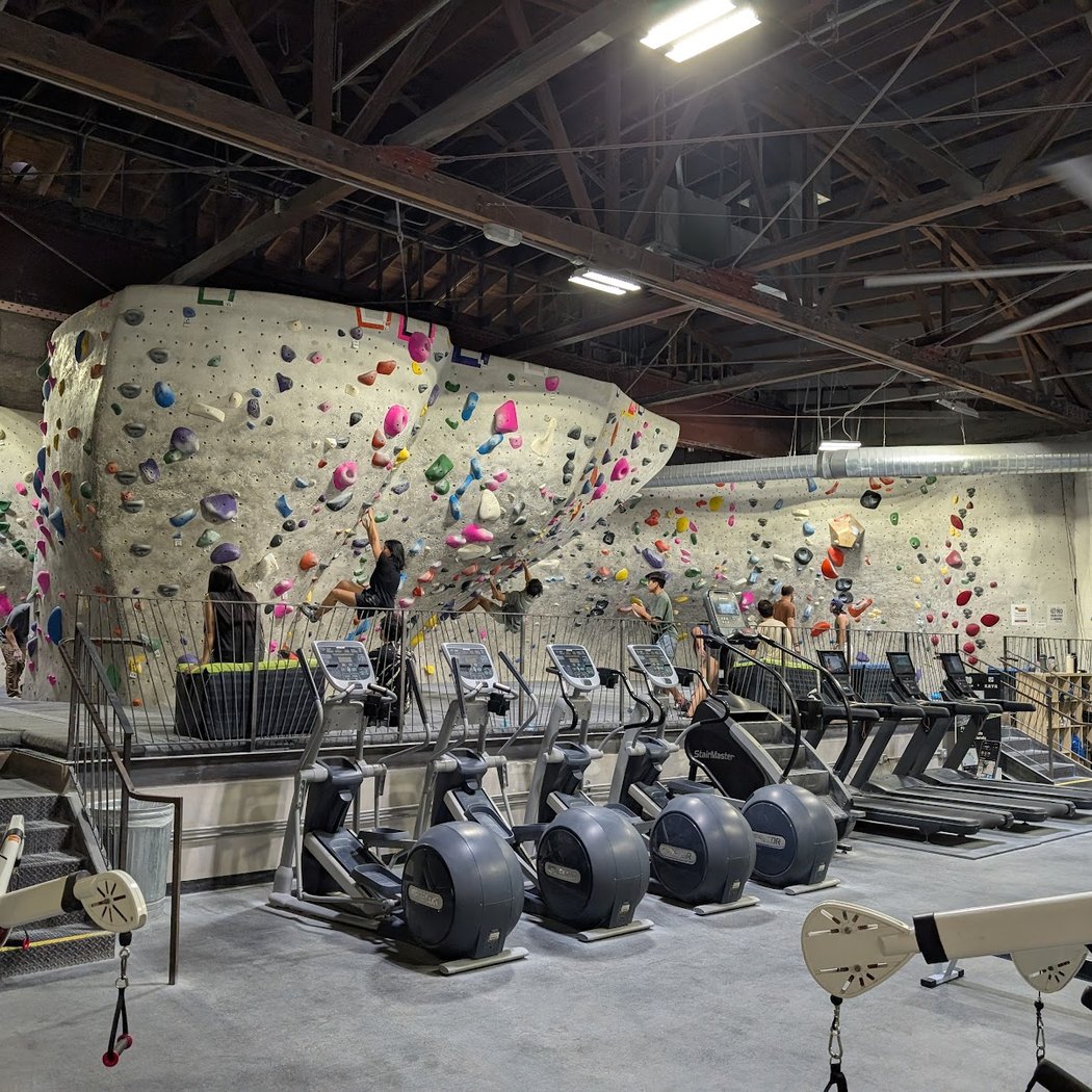 The Studio Climbing 4