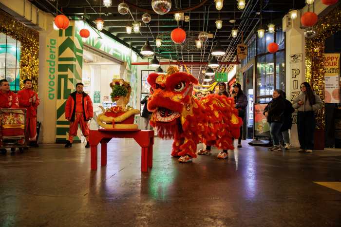 Lunar New Year Celebration 1