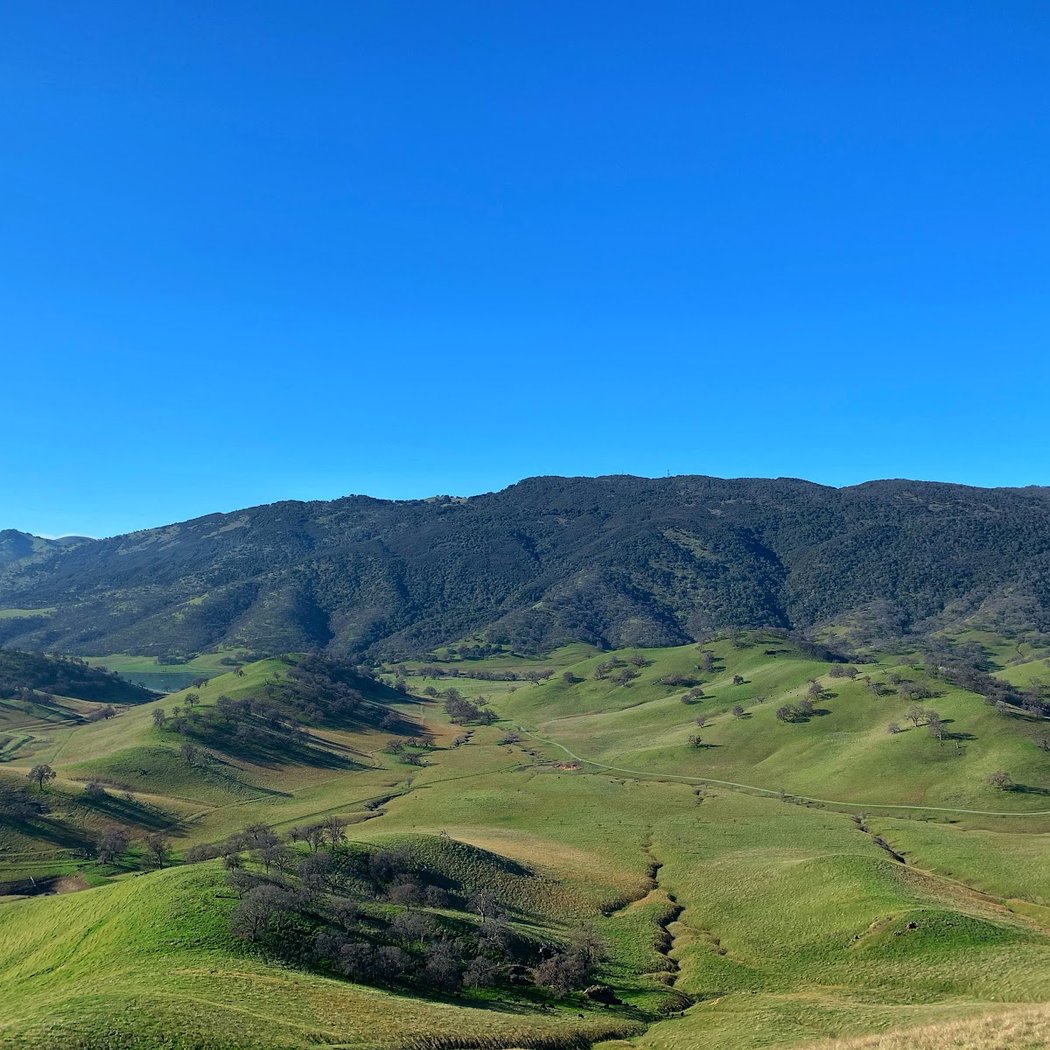Field Trip to Los Vaqueros Watershed 3