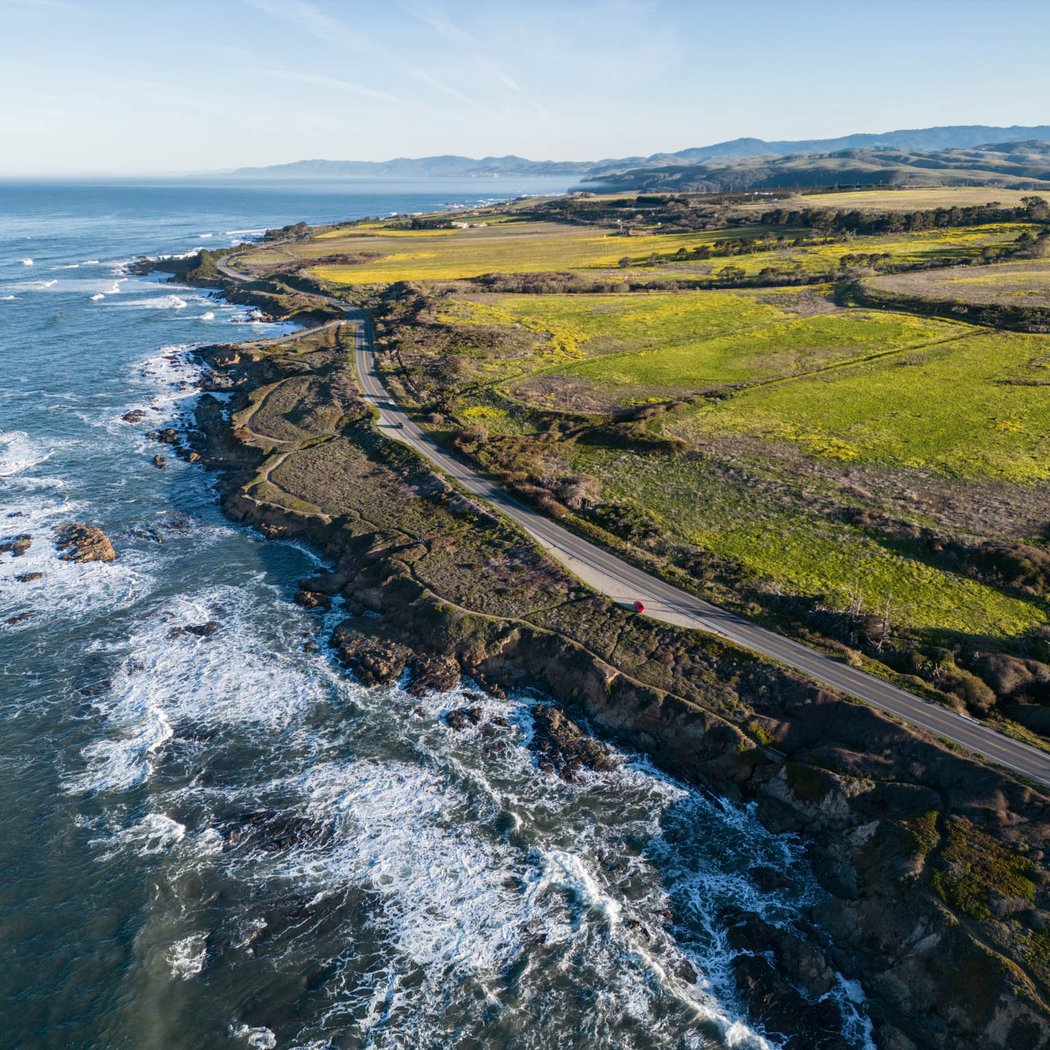 Bean Hollow State Beach 2