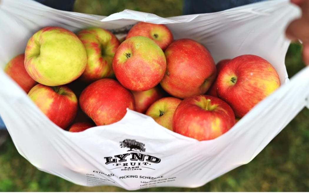 Lynd Fruit Farm 1