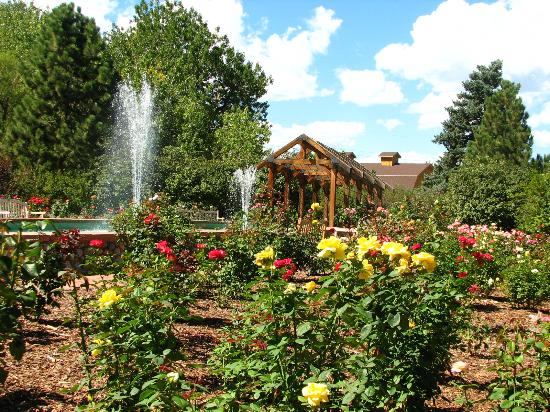 Meet the Rose Gardener 2