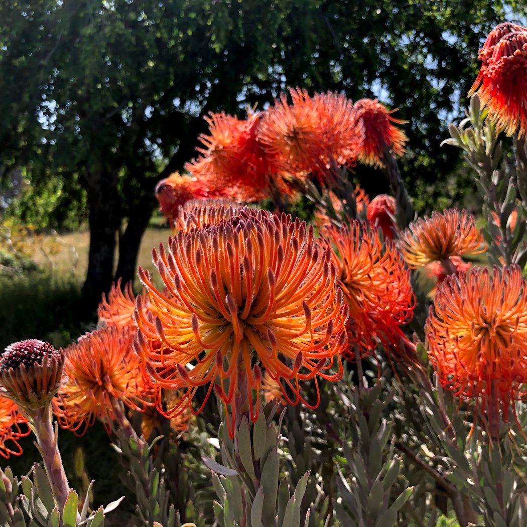 Community Day: Free Admission at the Arboretum 3