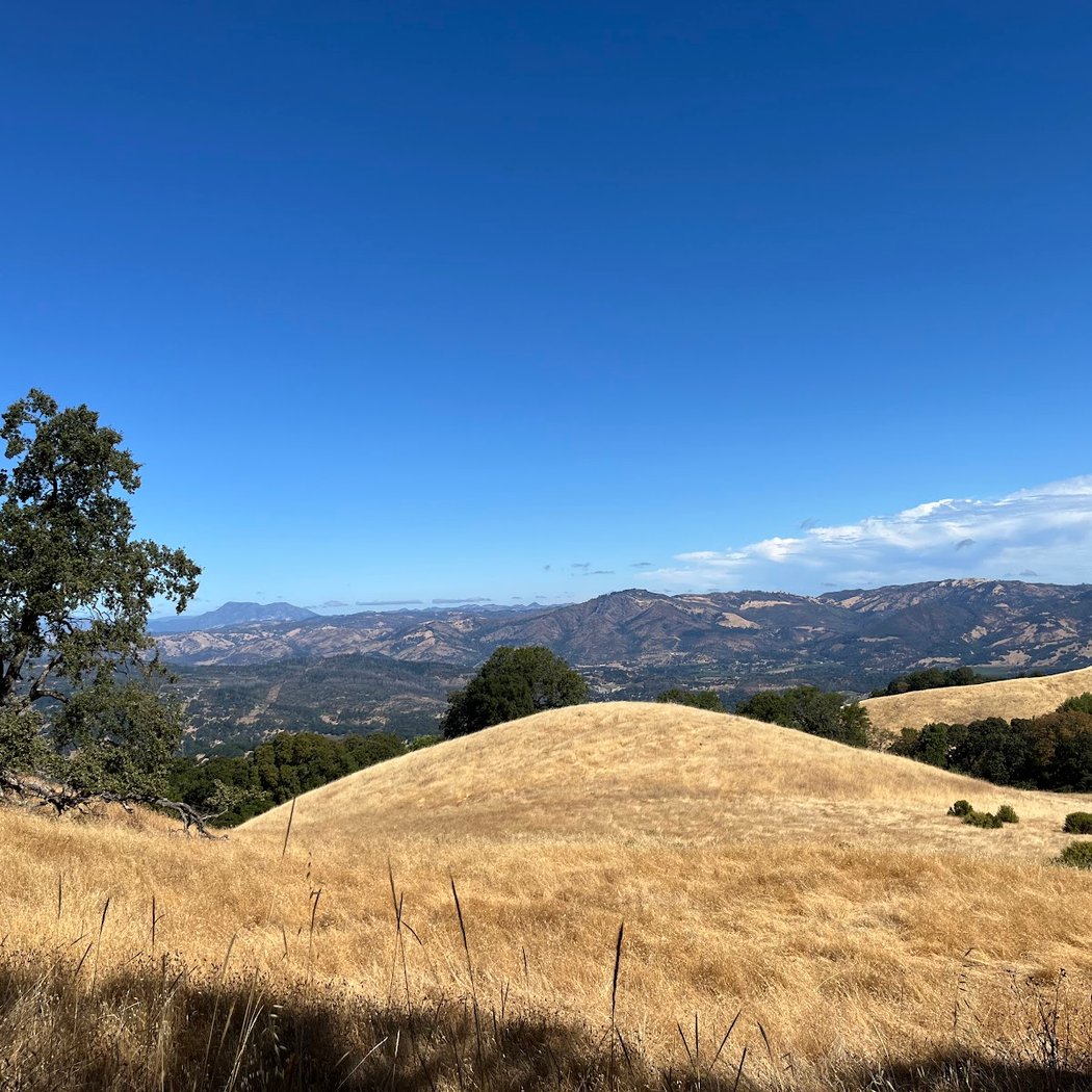 Fairfield Osborn Preserve 4