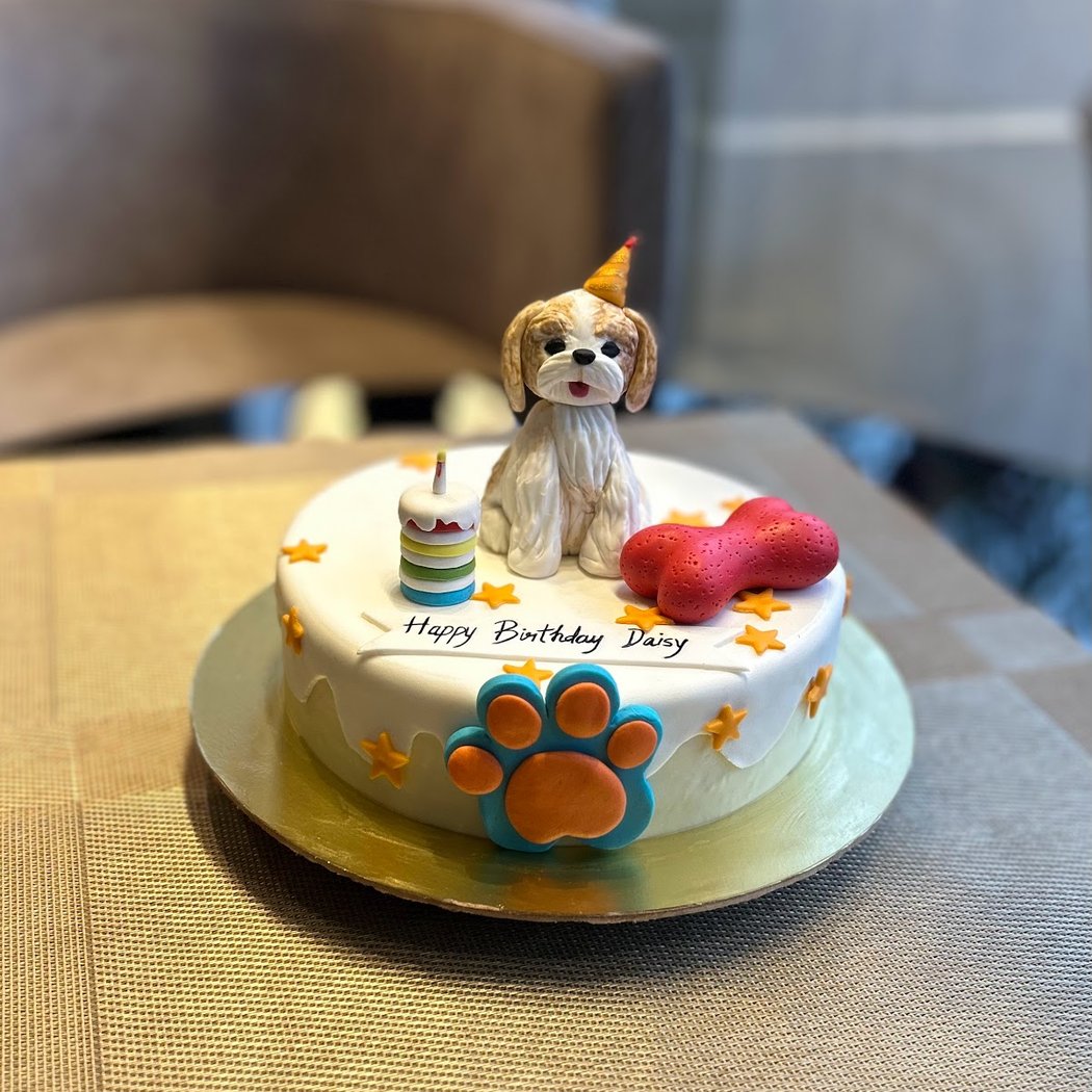 The Pet People Cafe 3