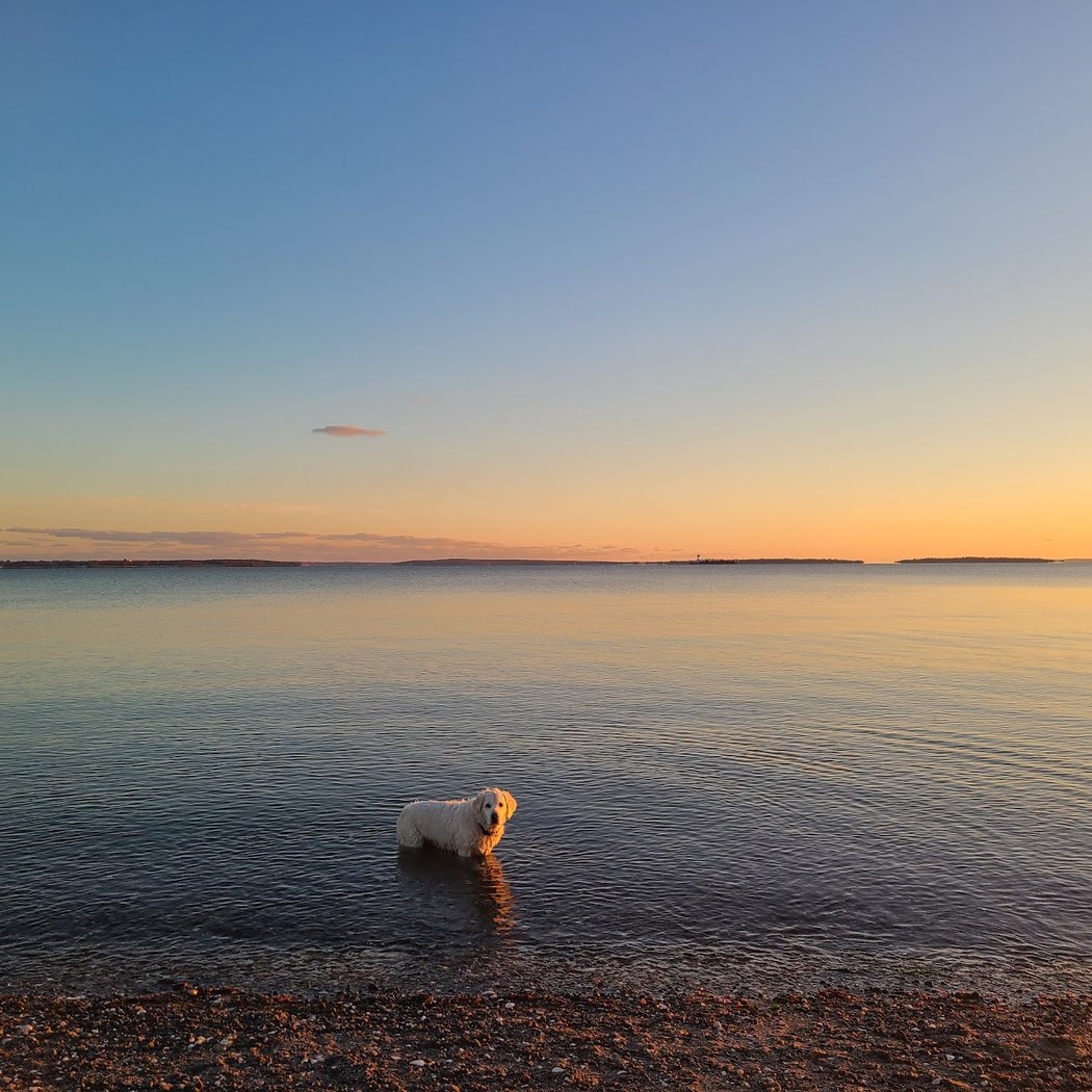Barrington Beach 1