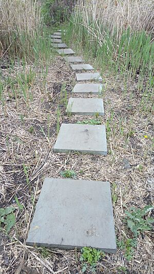 Pat Dolan Trail 2