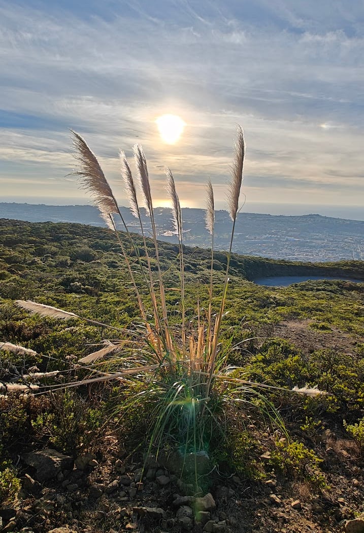San Bruno Mountain Summit 3