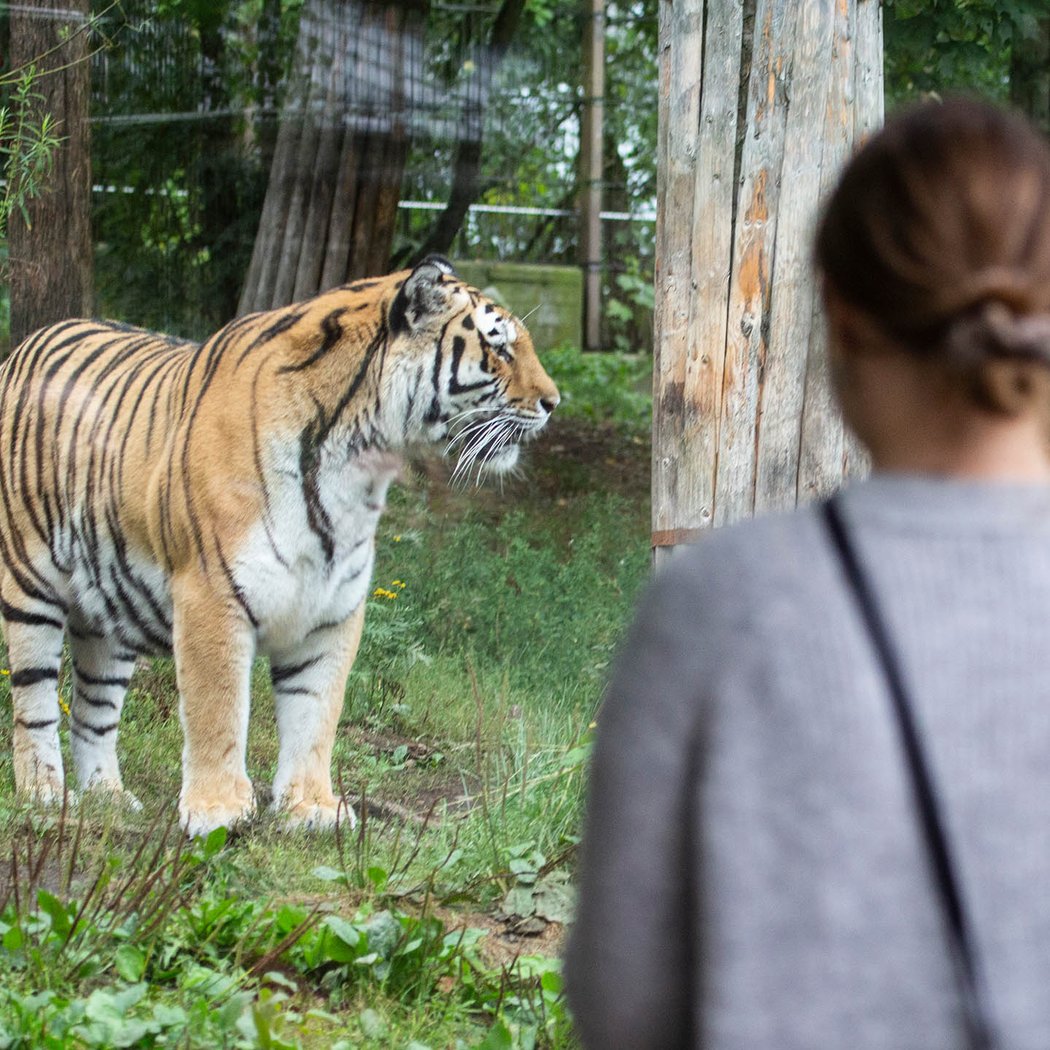 Korkeasaari Zoo 2