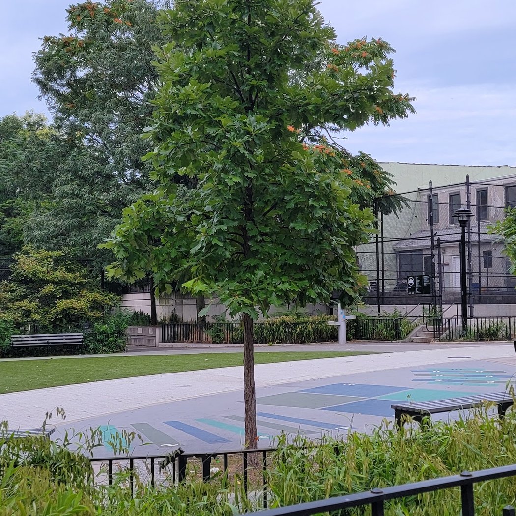 Thomas Boyland Park 3