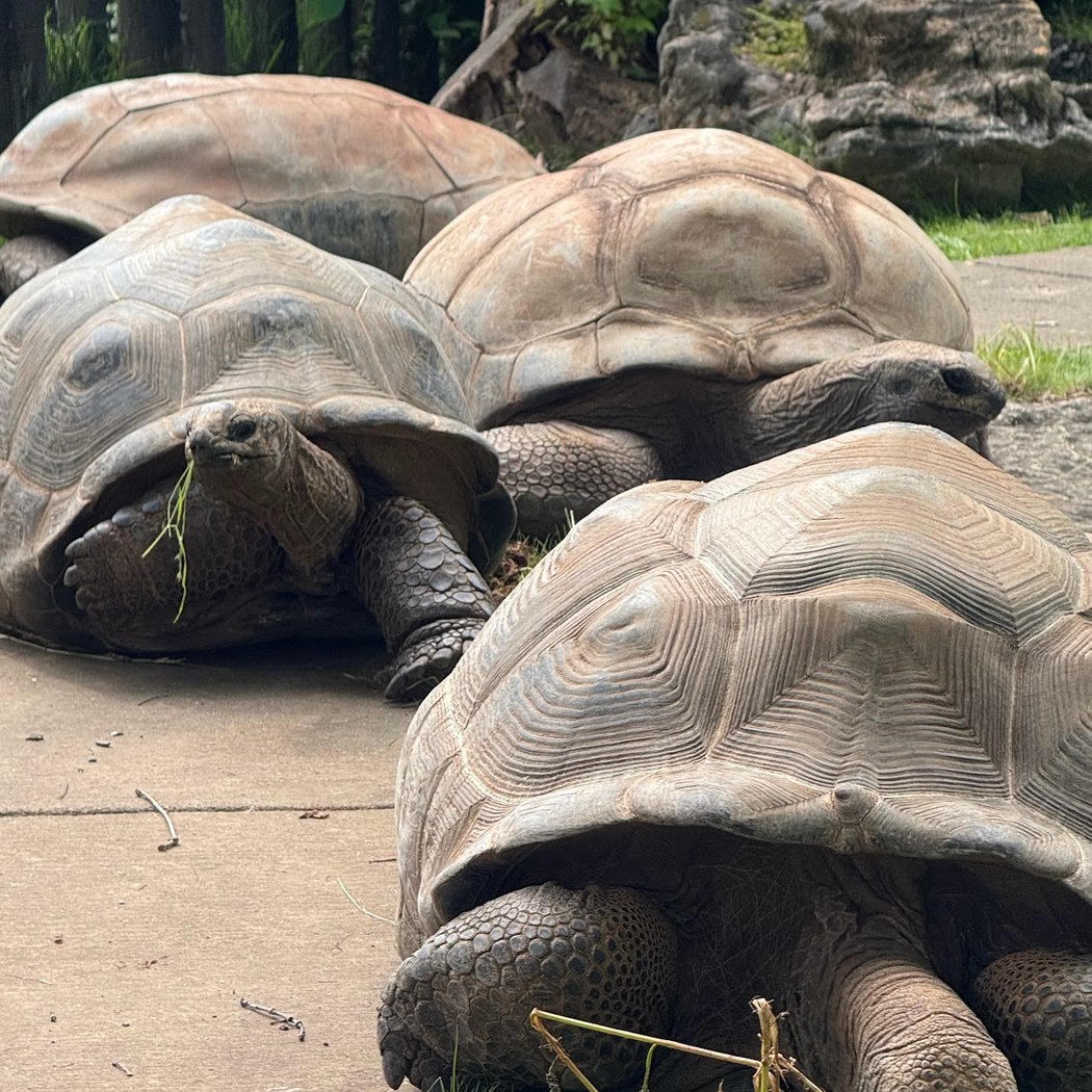 Zoo Knoxville 3