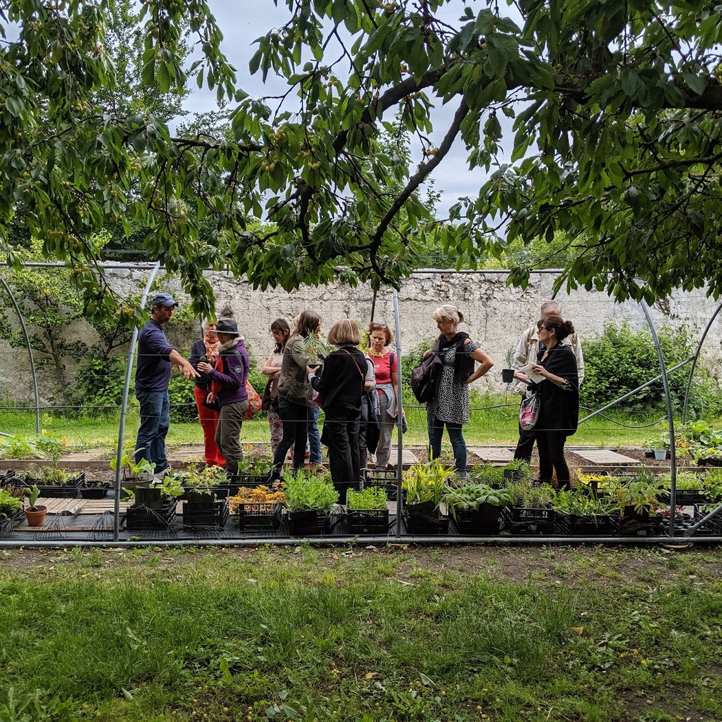 Visite guidée du verger historique de la Société Régionale d'Horticulture de Montreuil 1