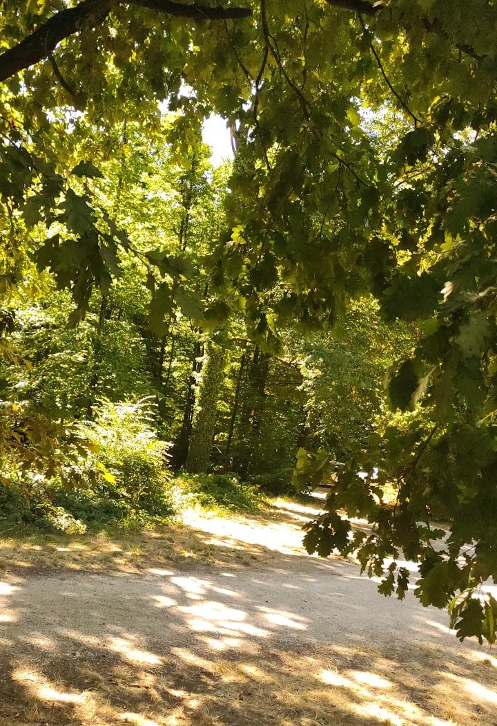 cornée du der 1