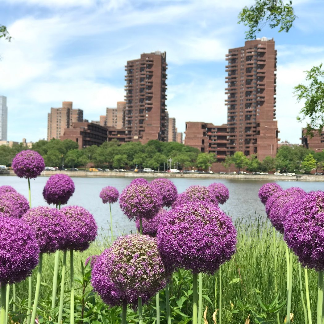 Water's Edge Garden 1