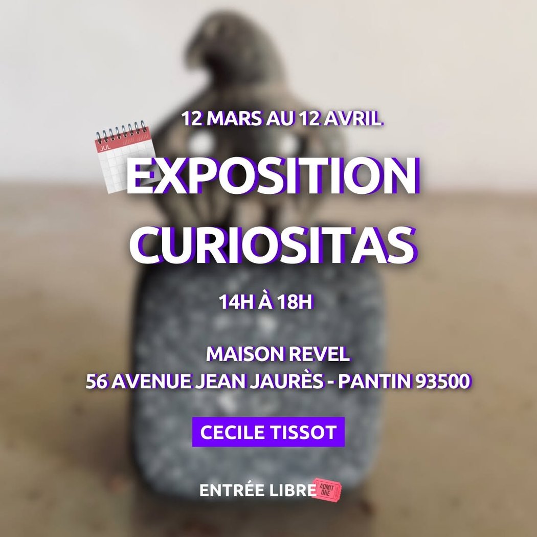 Exposition Curiositas 1