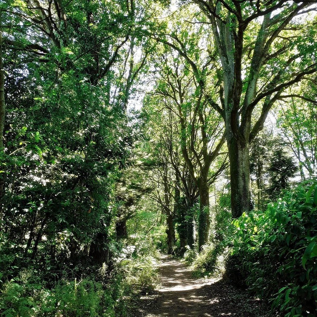 Office de Tourisme Erdre Canal Forêt - accueil de Nort-sur-Erdre 1