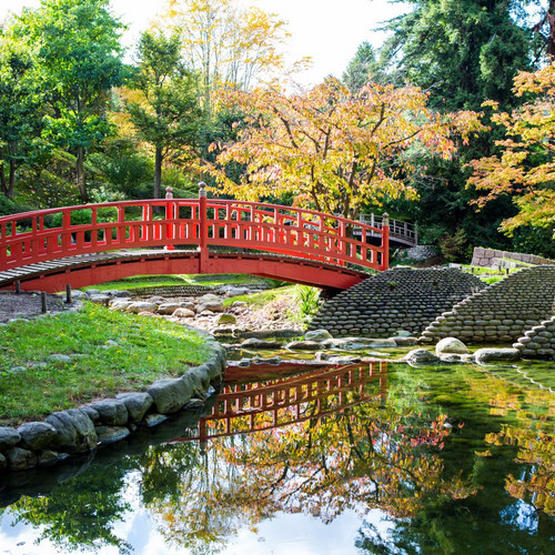 Visite saisonnière : l'automne au Japon 1