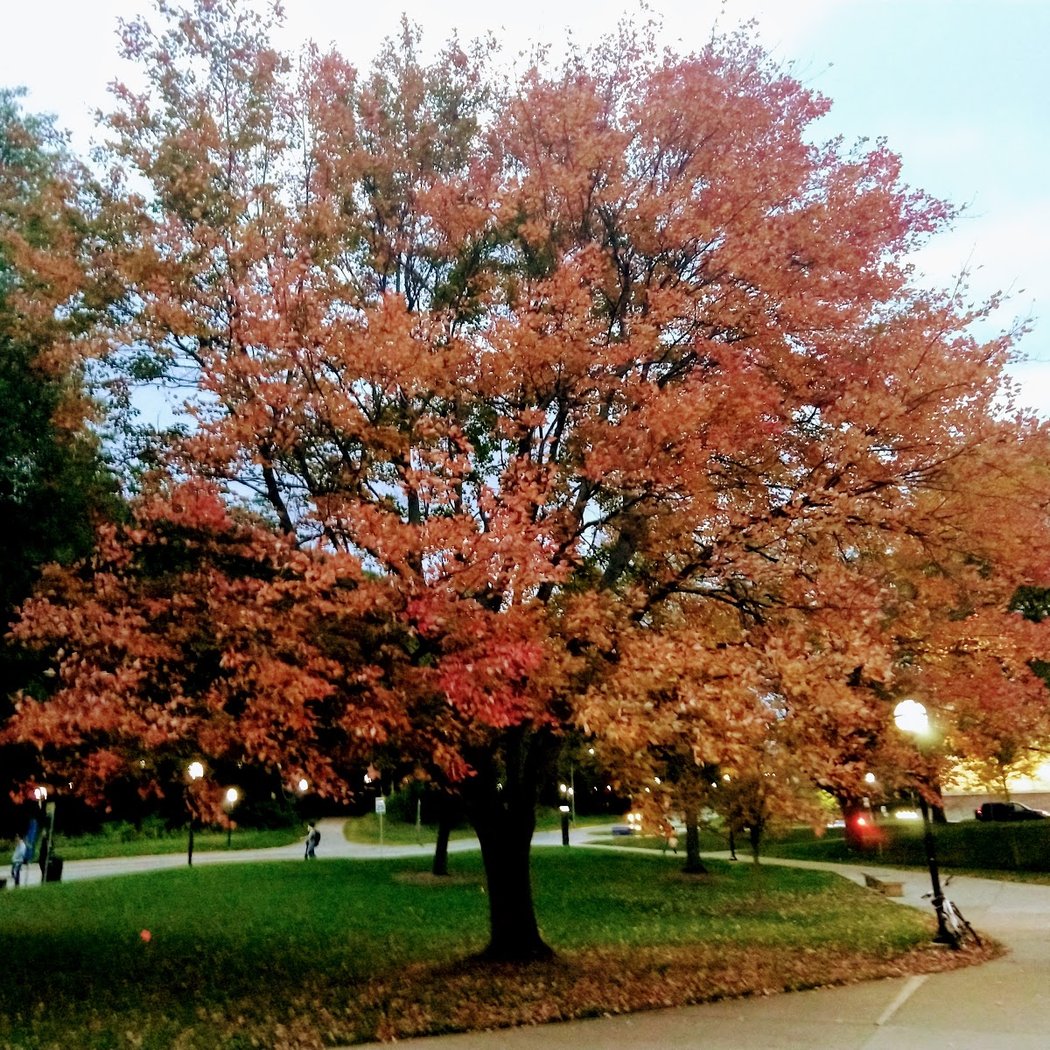 The University of Michigan - North Campus 3