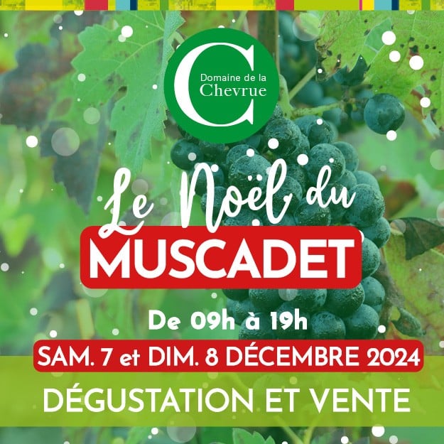 Portes Ouvertes au Domaine de la Chevrue – Le Noël du Muscadet 2024 1