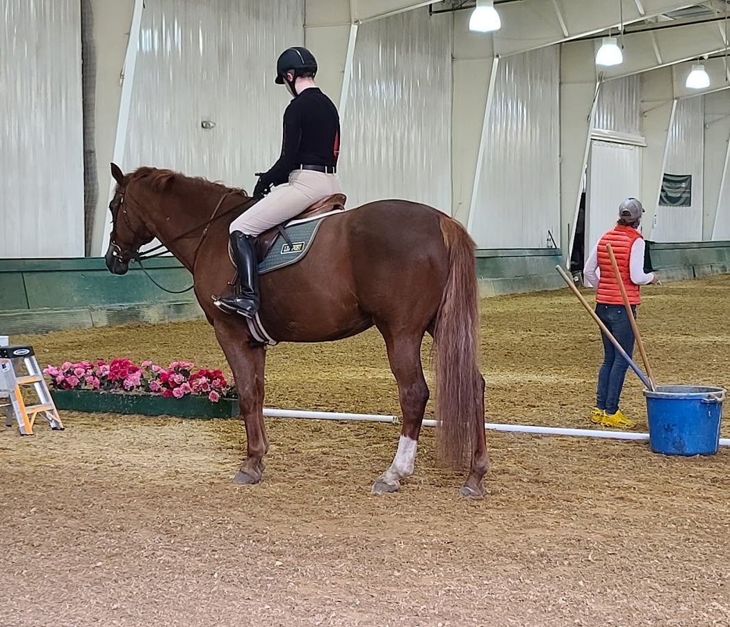 North Shore Equestrian Center 1