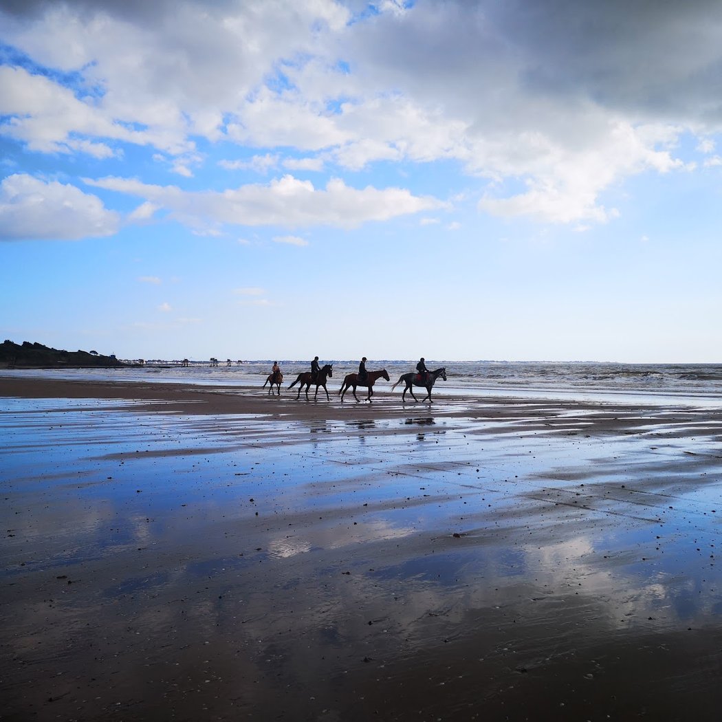 Vacances de Noël aux Écuries de Saint-Brevin 1