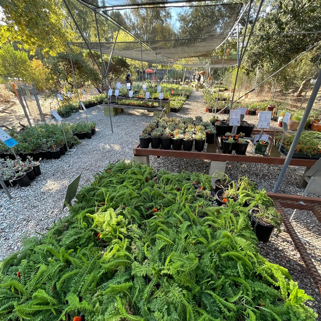 Behind-The-Scenes at Theodore Payne Foundation — June 20, 2026 1