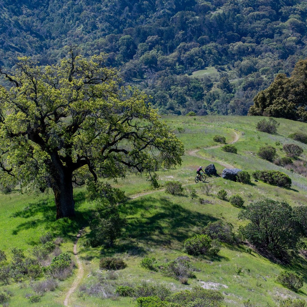 Lake Sonoma MTB
