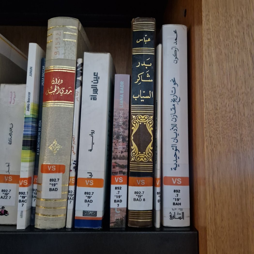 Visite guidée de la bibliothèque universitaire Paris 8 4