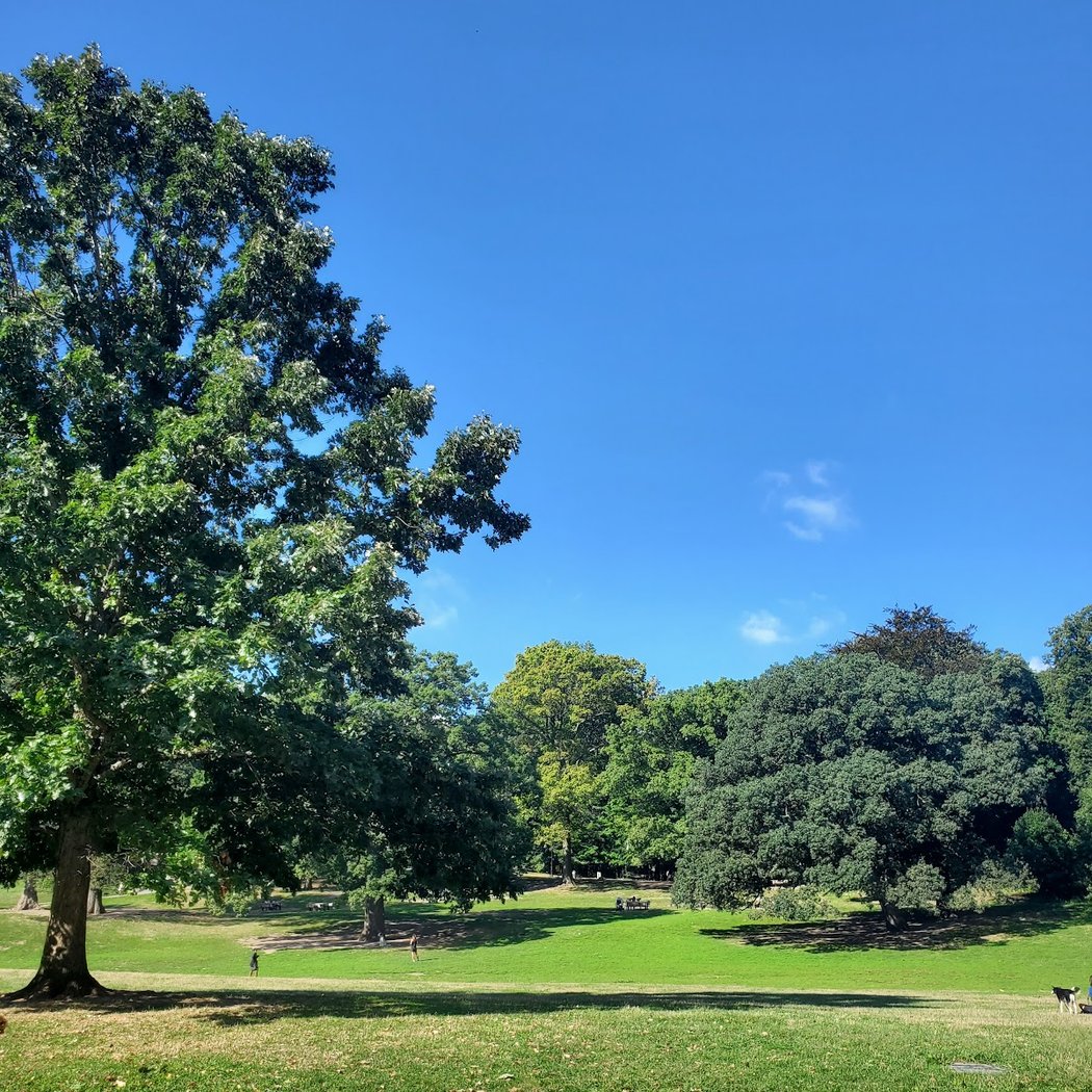 The Picnic House in Prospect Park 3