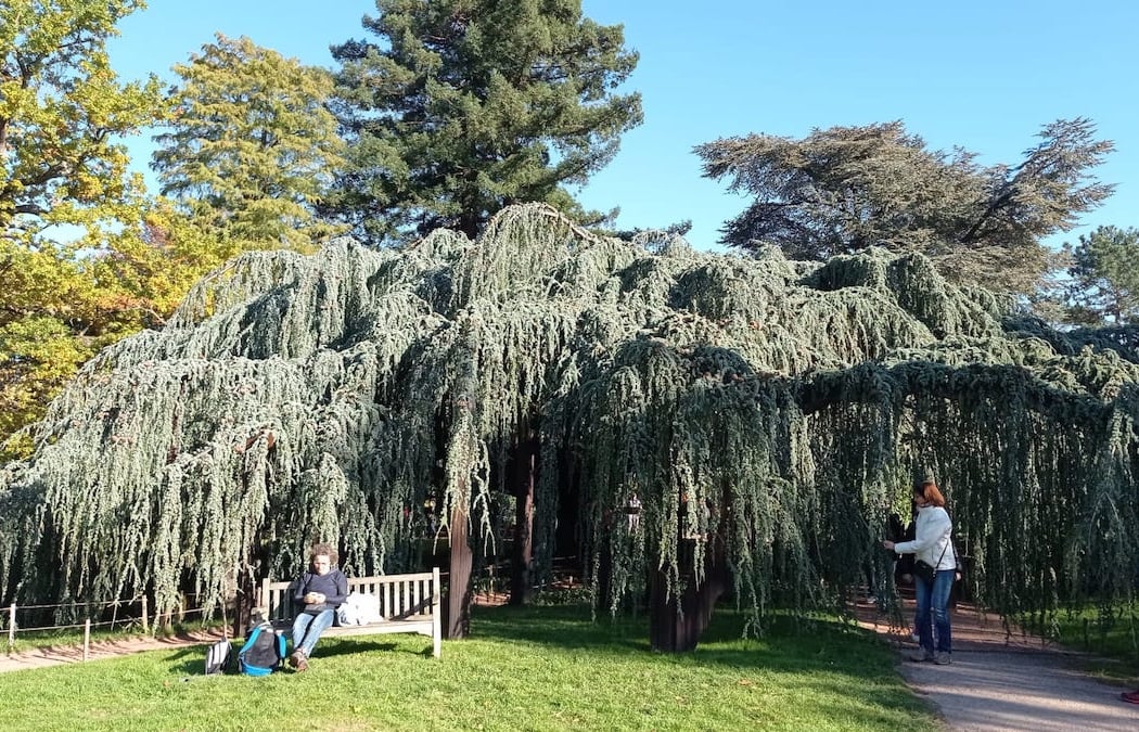 Parc de la Vallée aux Loups 2