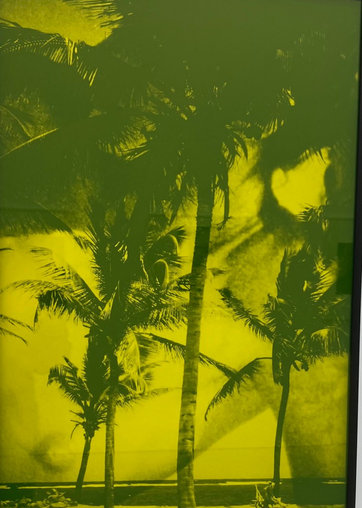Vikki Alexander Photography Exhibition 1