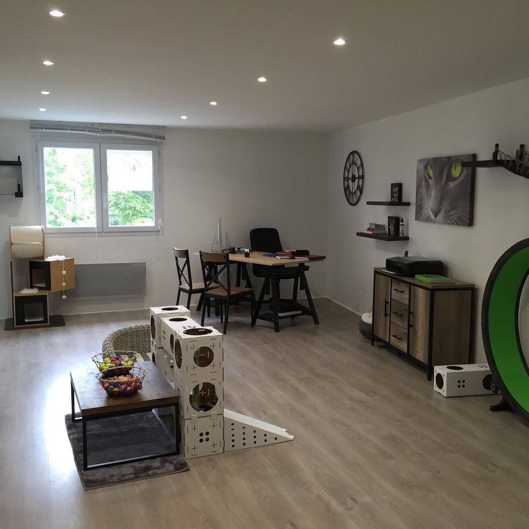 Le Loft des Chats 3