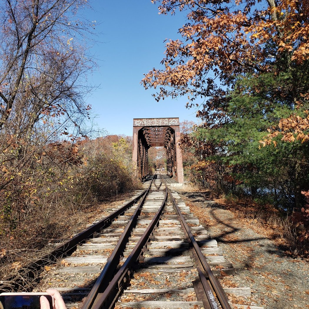 Scenic RailRiders 2