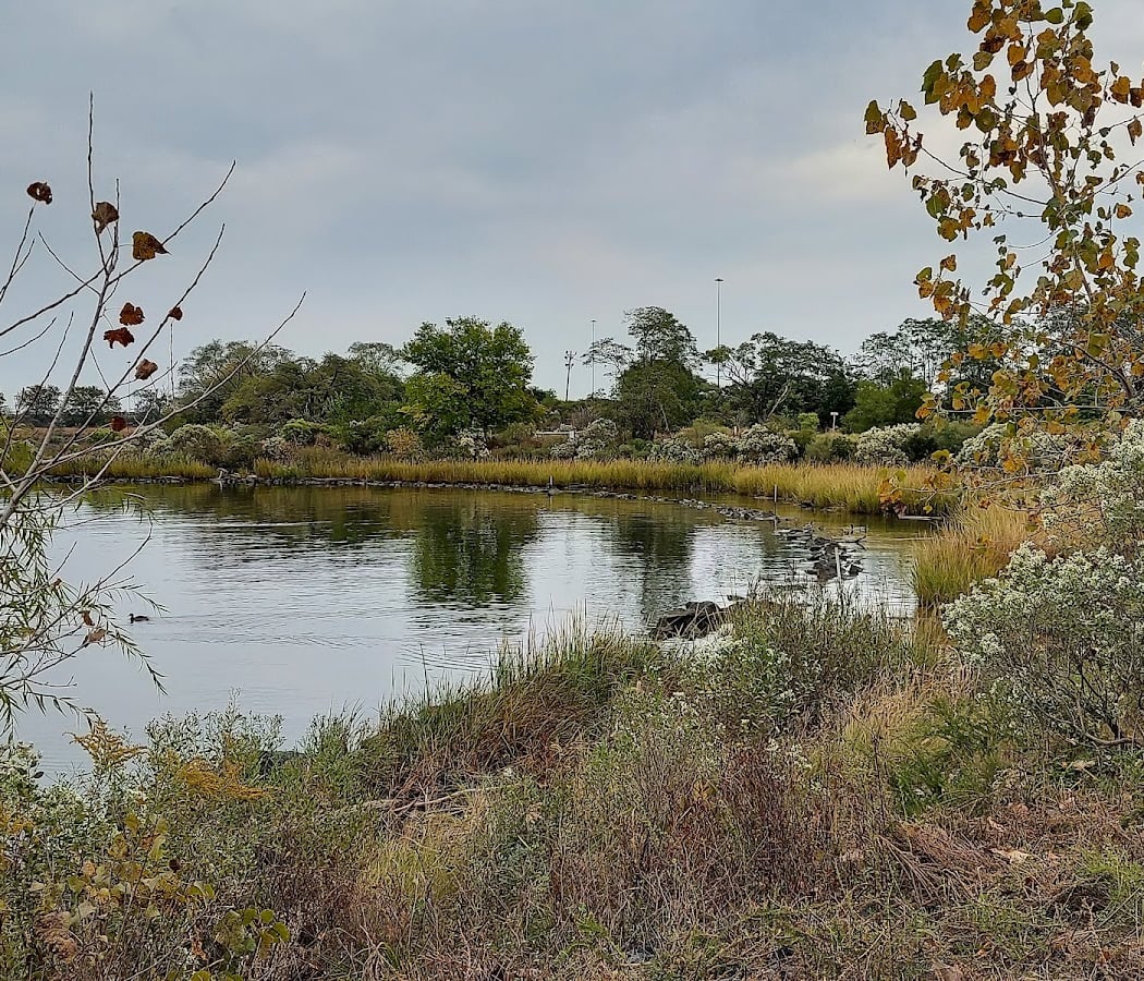 Water Quality and Climate Change Science 2