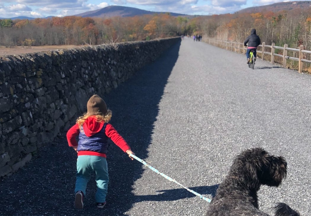 Ashokan Rail Trail 5