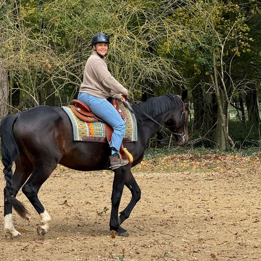 Ranch Ryan’s Farm - Equitation western 1