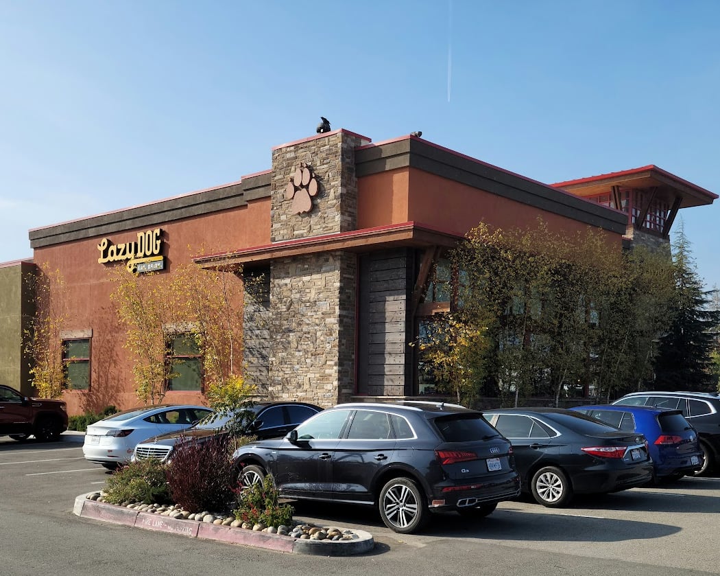 Lazy Dog Restaurant & Bar 2