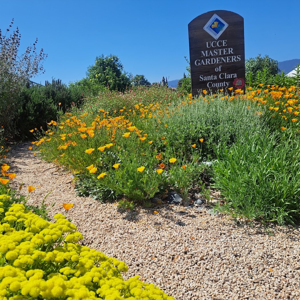 California Native Plant Sale 1