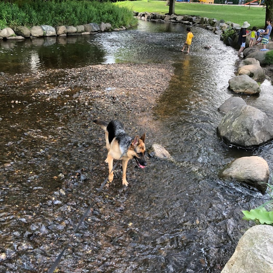 Goffle Brook Dog Park 1