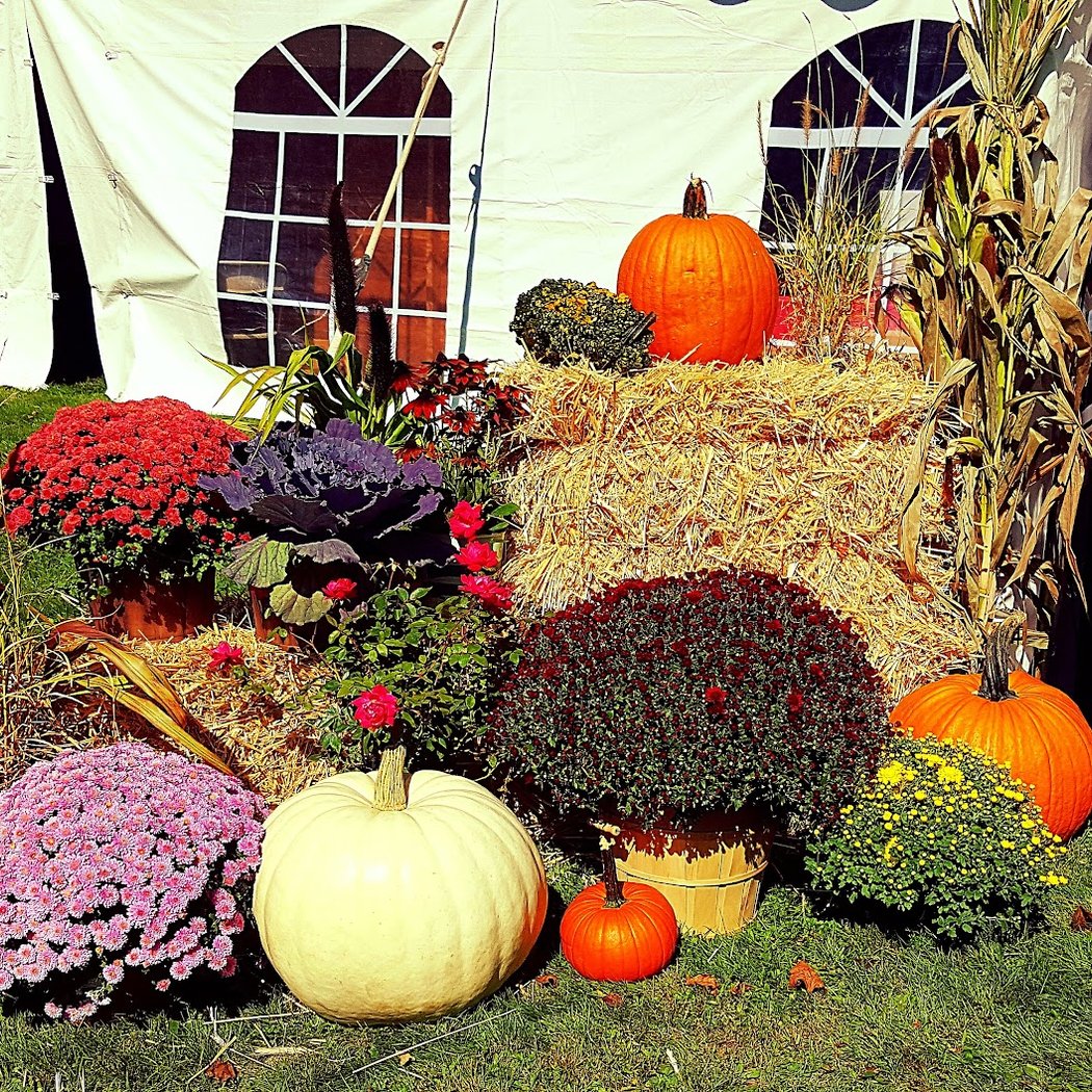Holiday Markets and Craft Shows 1