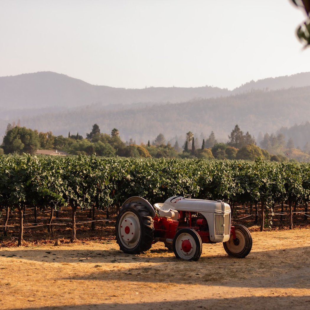 Salvestrin Winery Harvest Party 2026 1