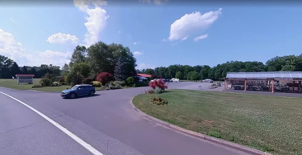 Saunderskill Farms 2