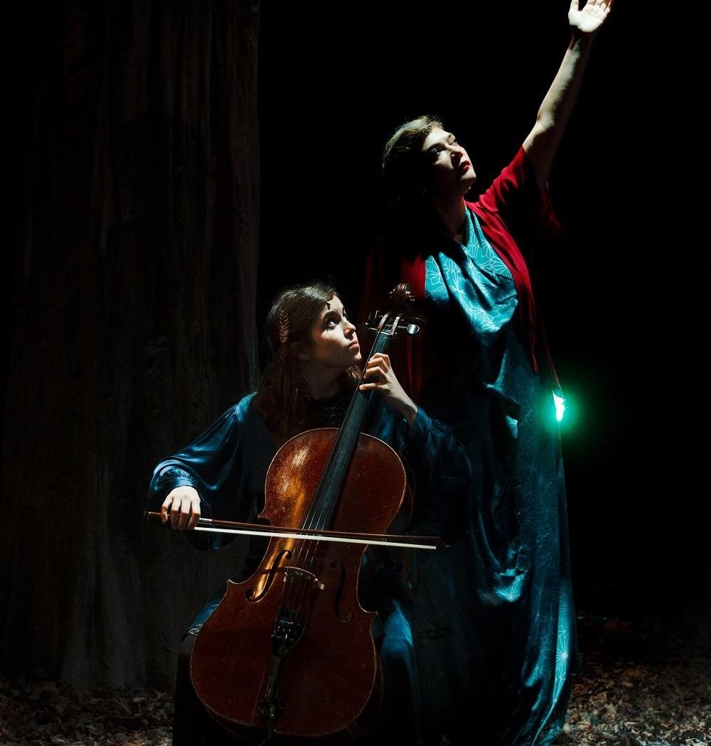 Birds on a Wire, Rosemary Standley et Dom La Nena 1