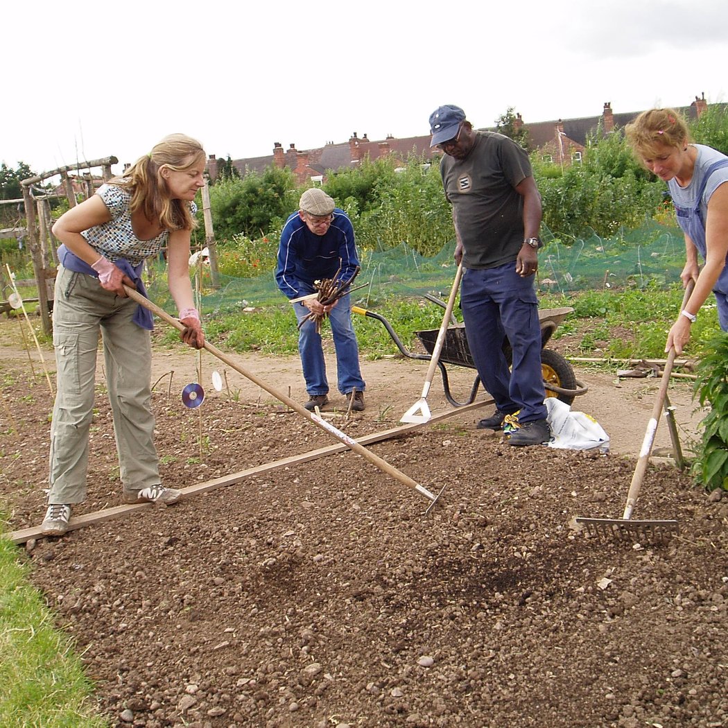 Weeding Wednesdays 3