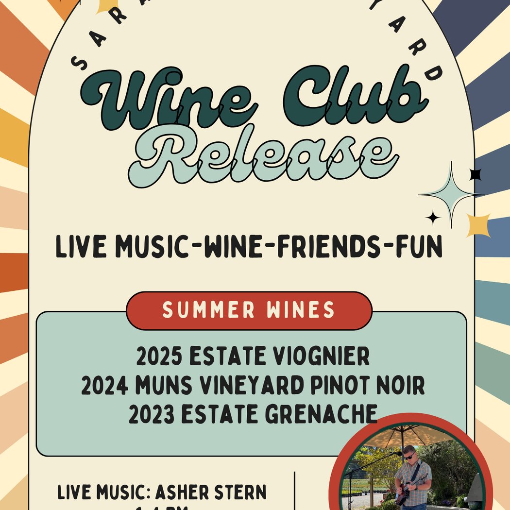 Live Music by Asher Stern 1