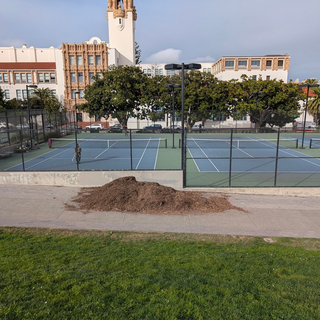 Mission Dolores Dog Play Area North 2