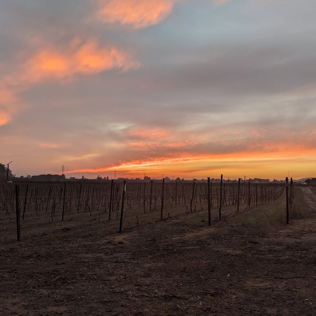 Stanly Ranch Area Public Trails 3