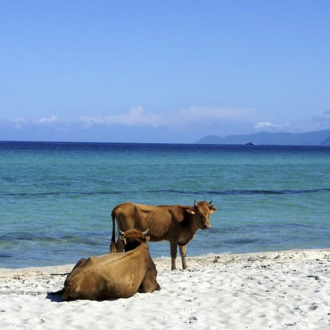 Lotu Beach 1