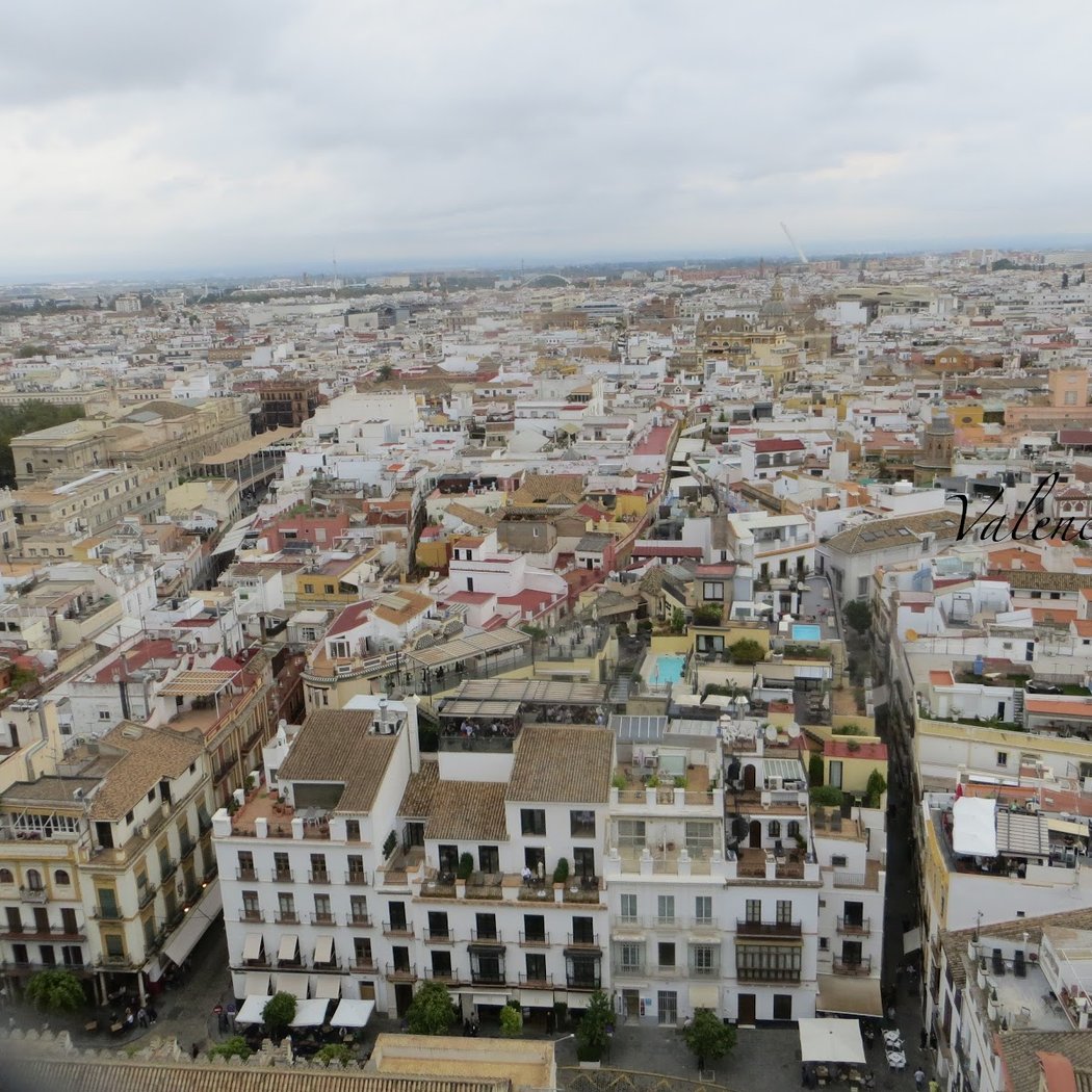 Mirador de la Giralda 3